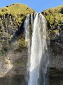 IMG_9063.jpeg