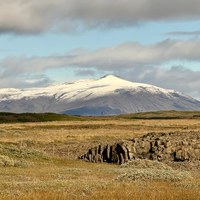 IMG_9054.jpeg