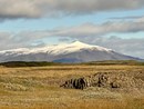 IMG_9054.jpeg