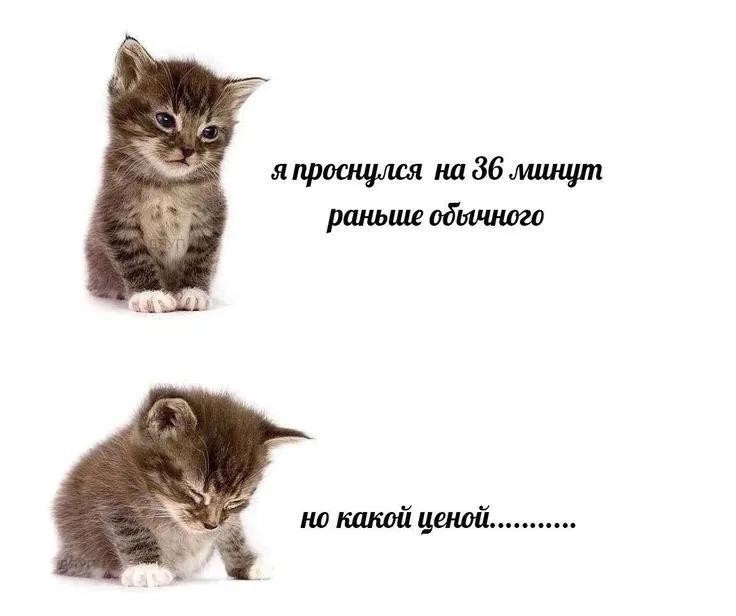 ee4khup225rh1.jpeg