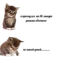 ee4khup225rh1.jpeg