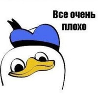 IMG_2582.jpeg