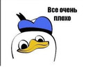 IMG_2582.jpeg