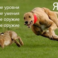 images.jpg
