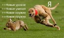 images.jpg