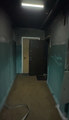 IMG_2593.jpeg
