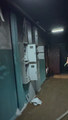 IMG_2595.jpeg