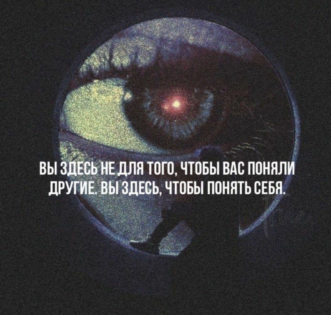 ���������� #2348035
