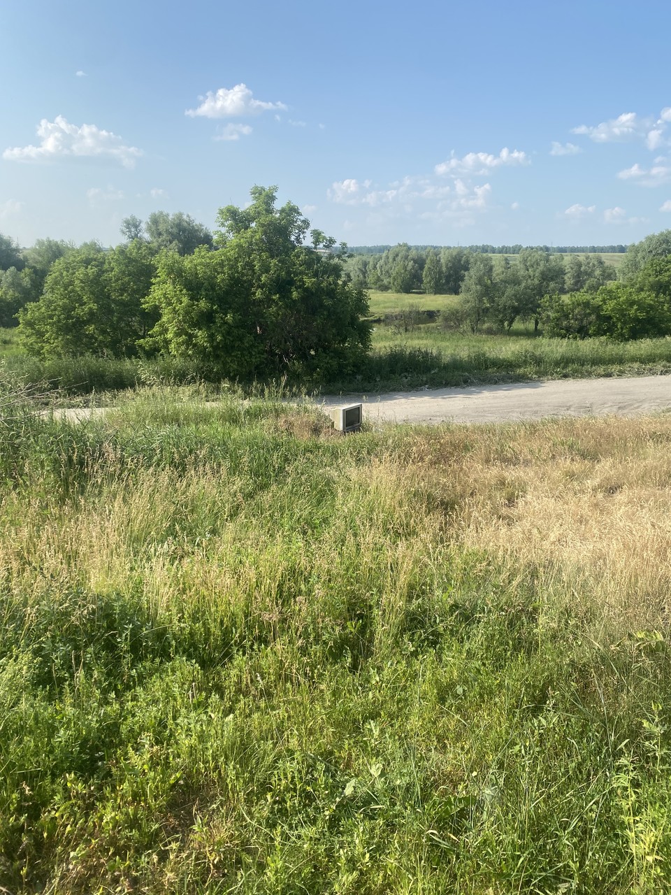 IMG_0546.jpeg