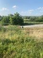 IMG_0546.jpeg