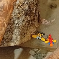 IMG_20261003_082158.jpg