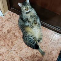 uWlEj2pKzkc0LvaDdL82xPVj1zmnF_rJcgmqRry9p1tjRHvG6Gqjkf-4XDP52jzDRtYgRoHipG_f2vsdSmhbv5-B.jpg