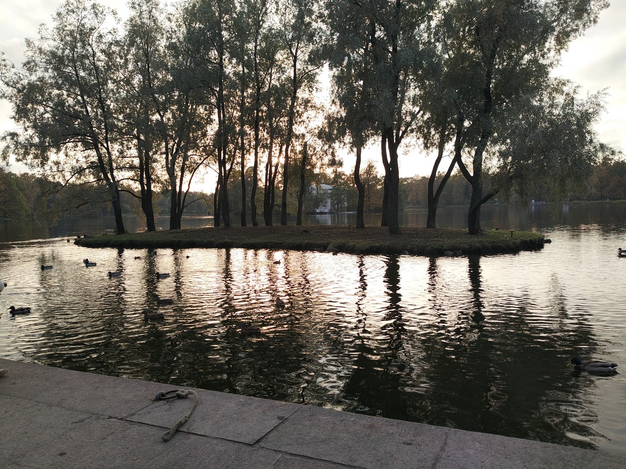 4598.jpg