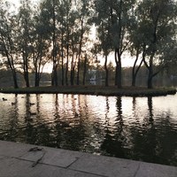 4598.jpg