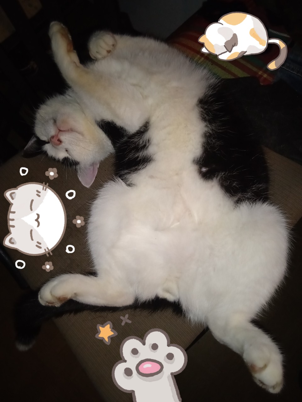 ������� ����� � ���������� ������� =)