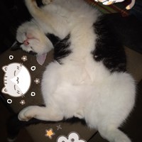 ������� ����� � ���������� ������� =)