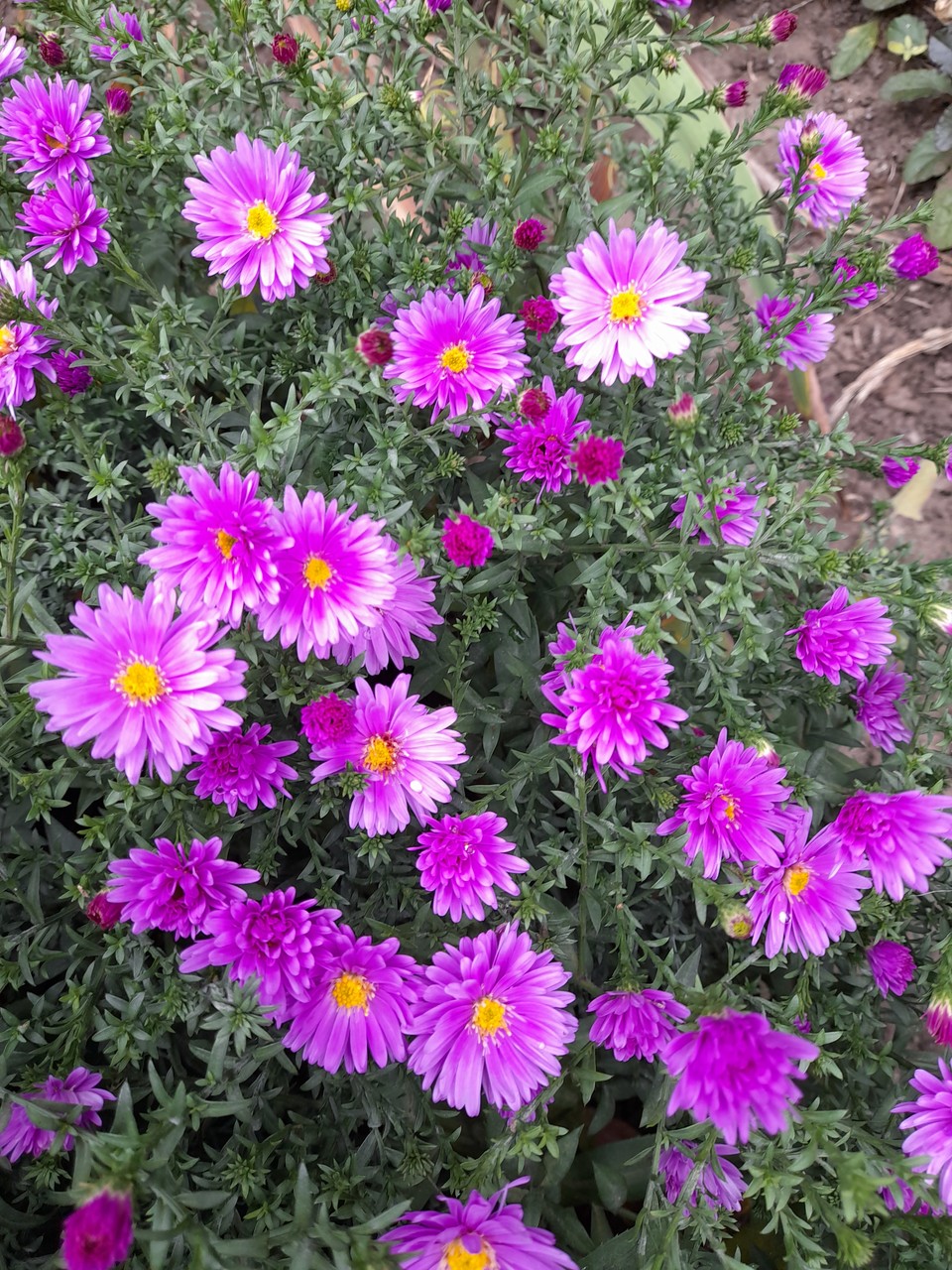 20261002_123831.jpg