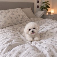 IMG_3275.jpeg