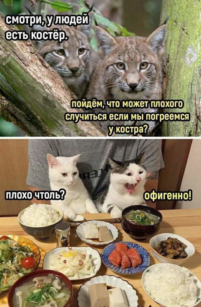 mfw36hba.jpg