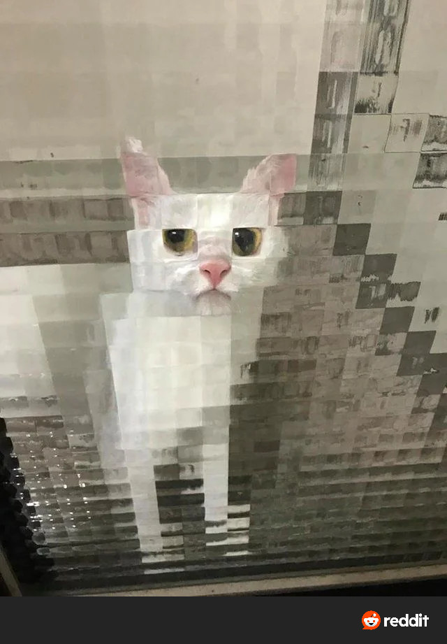 1000083068.jpg