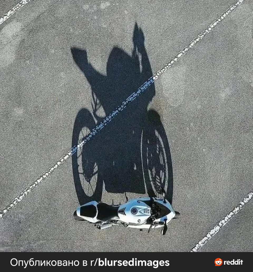 1000082405.jpg