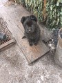������