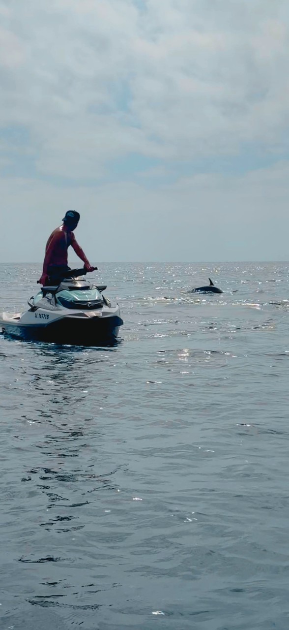 Sea
