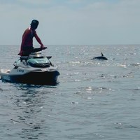 Sea