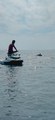Sea