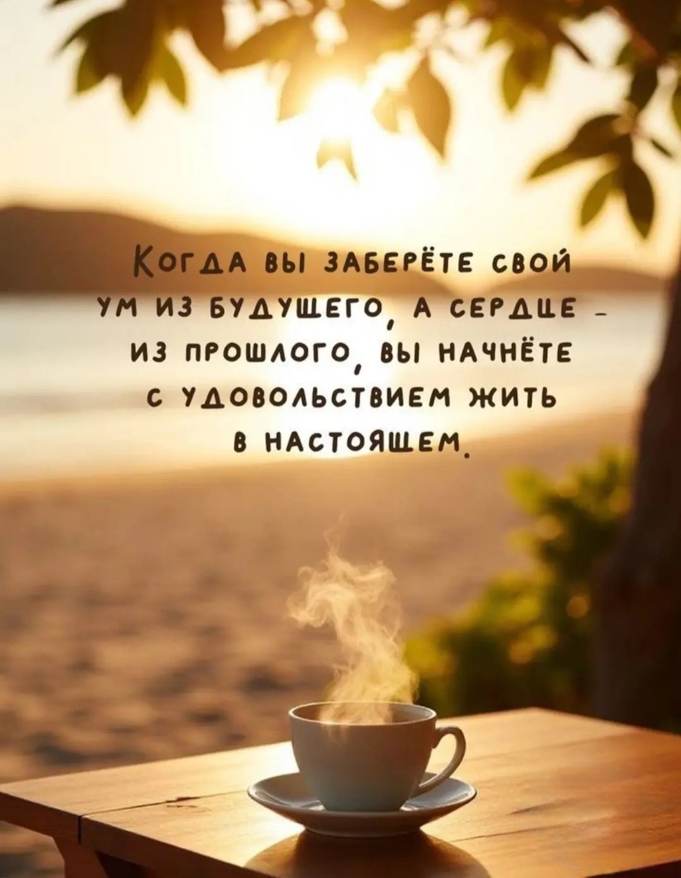 1000049164.jpg