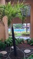 IMG_20261023_134018_939(1).jpg