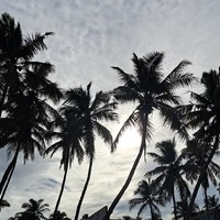 IMG_20261023_134019_350(1).jpg