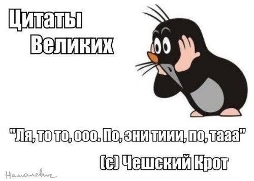 ���������� #2041330