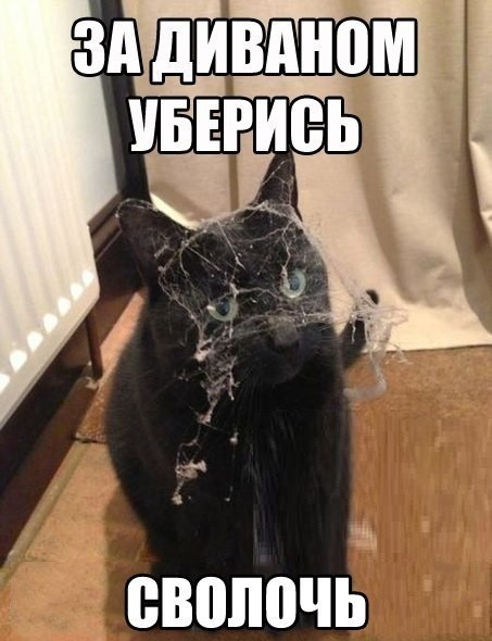 ���������� #2043036