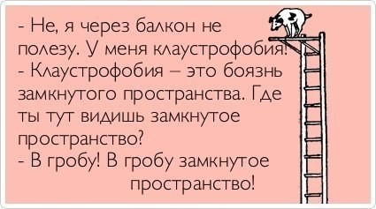 ���������� #2043038