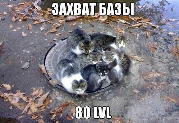 ���������� #2043942