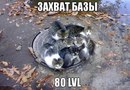 ���������� #2043942