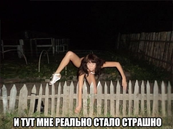���������� #2043946