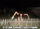 ���������� #2043946