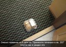 ���������� #2043949