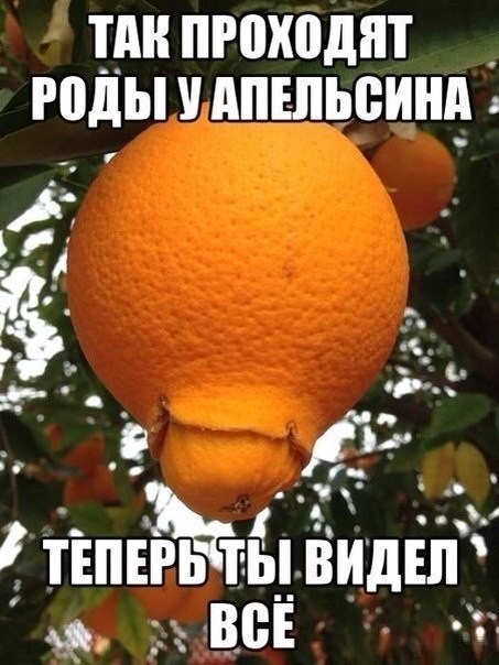 ���������� #2043957