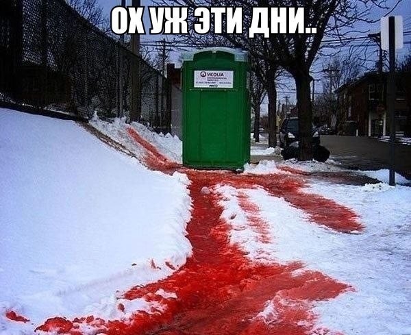 ���������� #2043973