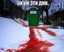���������� #2043973