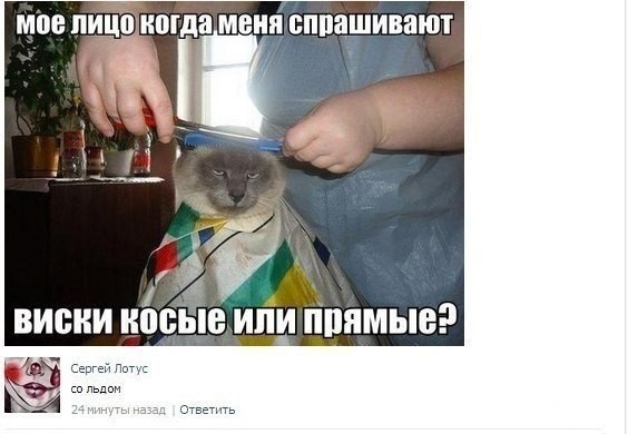 ���������� #2043991