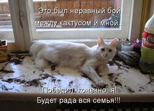���������� #2046948