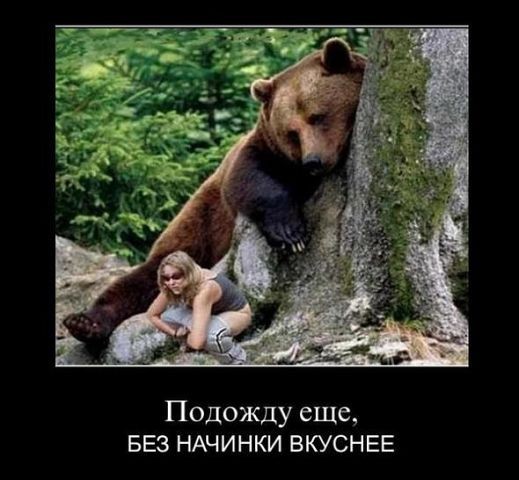 �������� �����������...