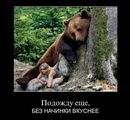 �������� �����������...