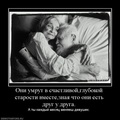 ���������� #2049267