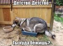 ���������� #2051039