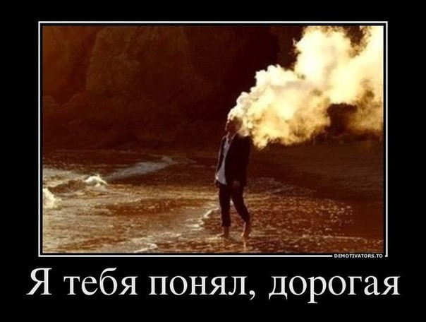 ���������� #2051046